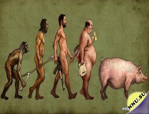 Эволюция человека остановилась навсегда