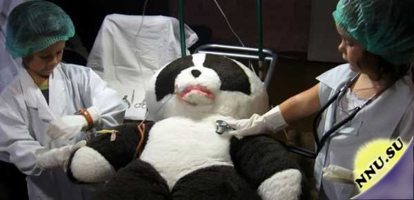 Спасение панды