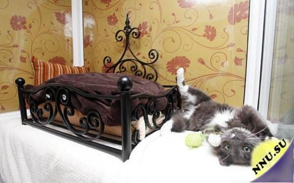 Шикарный отель для кошек