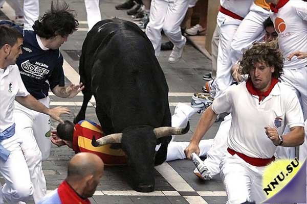 В Испании во время бега быков пострадали 27 человек