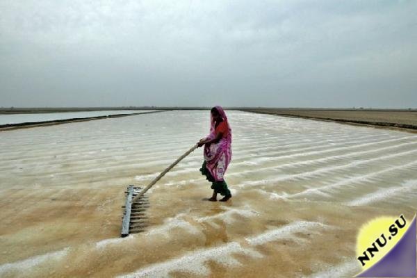 Как добывается соль в Индии и Индонезии