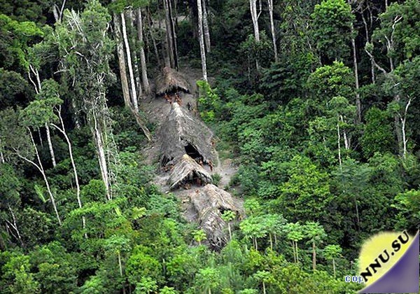 Дикое племя в джунглях Амазонии