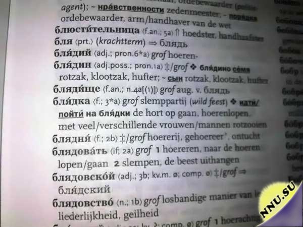 Русско-нидерландский словарь