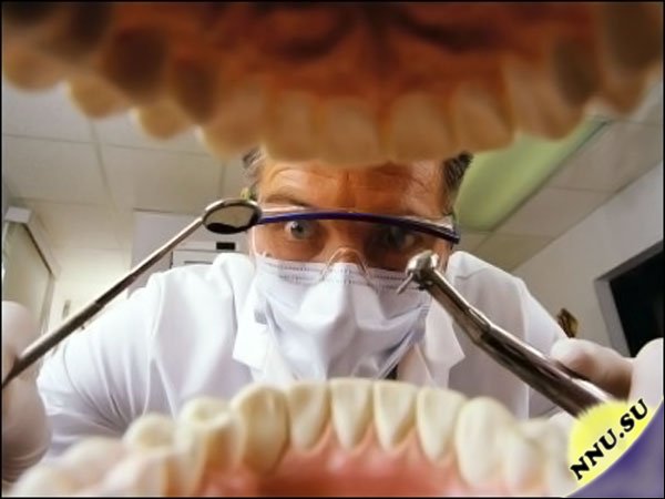Всё самое интересное о стоматологии и зубах