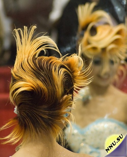 Фантастическая красота на Hairworld Chicago 2008