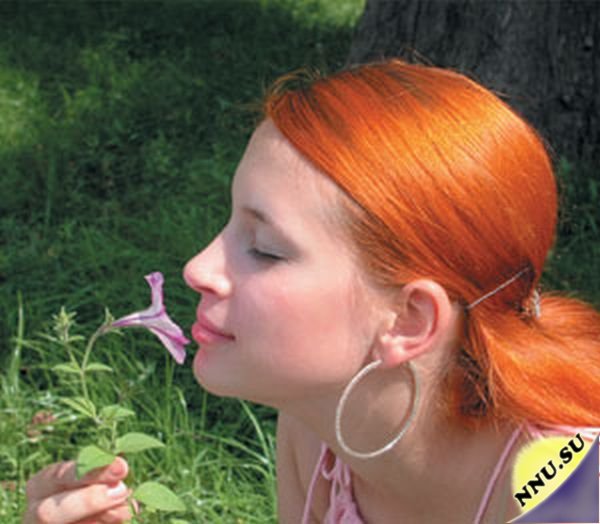 10 интересных фактов о самых полезных запахах