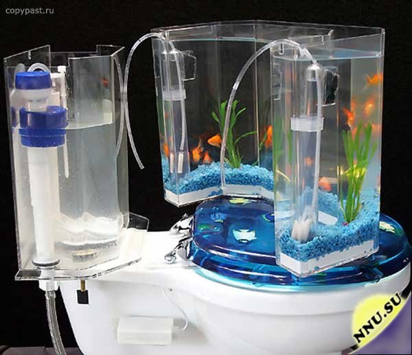 Туалетный аквариум