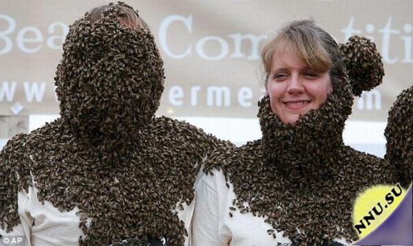 Соревнование на лучшую пчелиную бороду