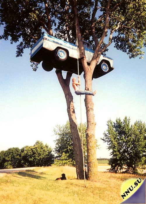 Дом-автомобиль на дереве