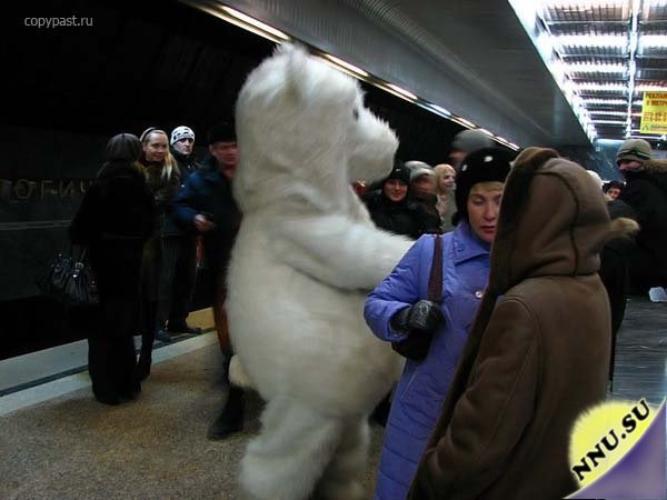 Белый мишка в Екатеринбургском метро