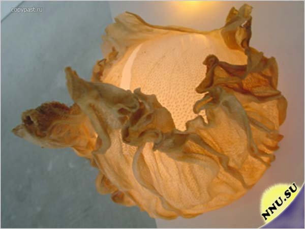 Необычные лампы Джулии Лохманн