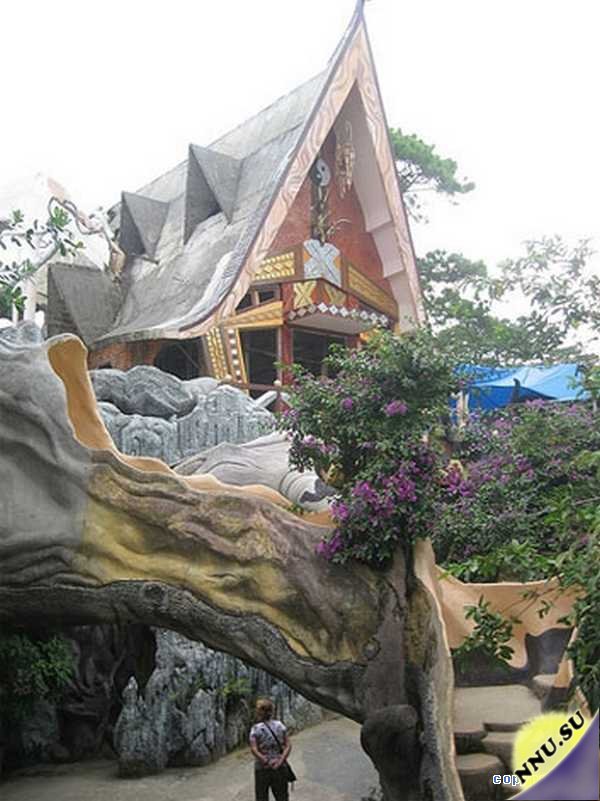 Во Вьетнаме можно с комфортом пожить внутри дерева