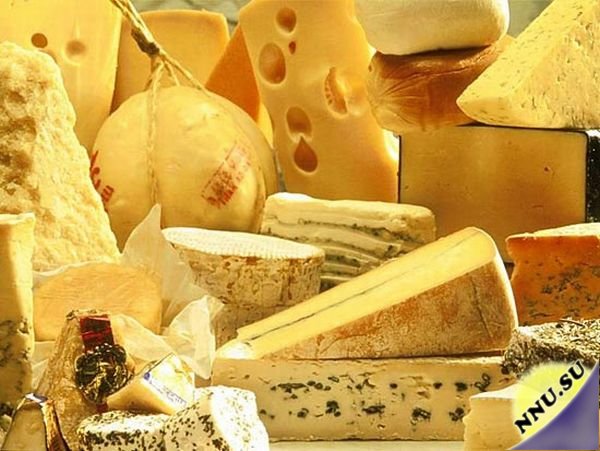 7 фактов о сыре