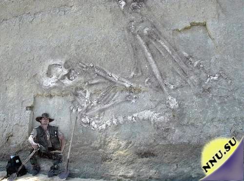 12-метровый скелет человека