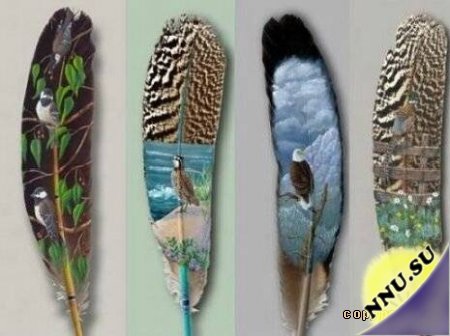 Рисунки на перьях