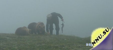 Медведи и люди