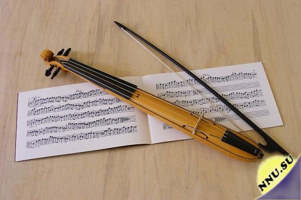 Карманная скрипка (2 фото + видео)