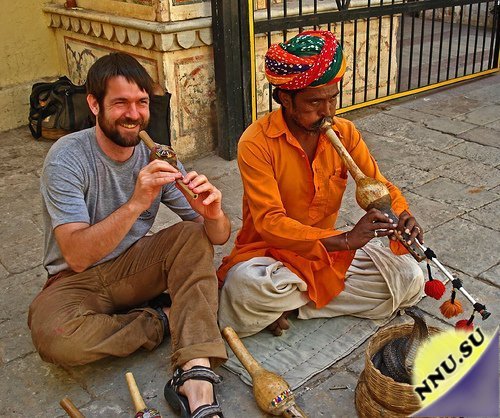 Фестиваль змей в Индии