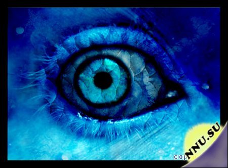 Глаза -это отражение души