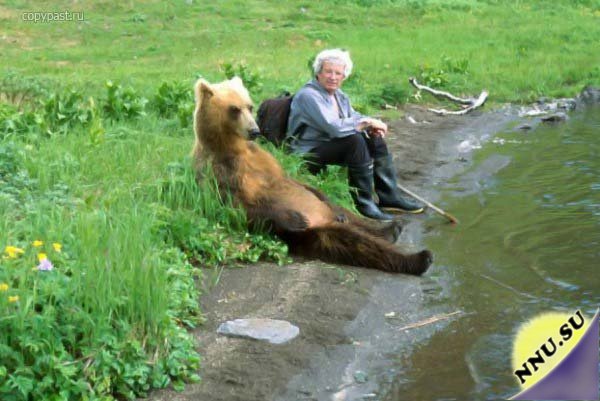 Дружба медведя с человеком