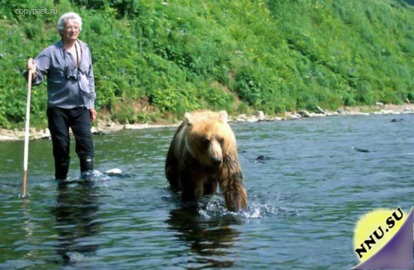 Дружба медведя с человеком