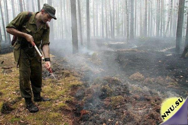 Как тушат лесные пожары