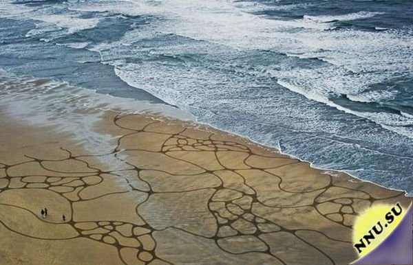 Рисунки на песке от Andres Amador (22 фото + 2 видео)