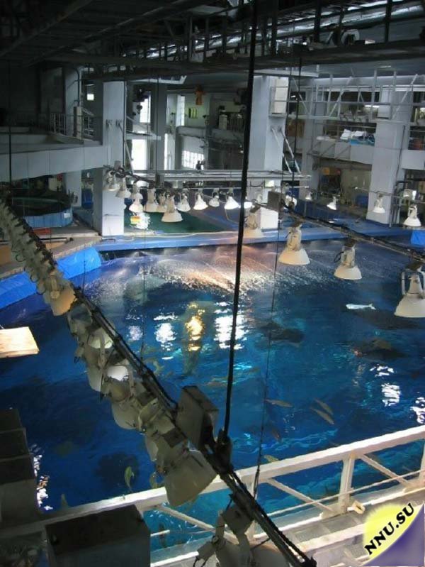 Гигантский аквариум в Акинаве