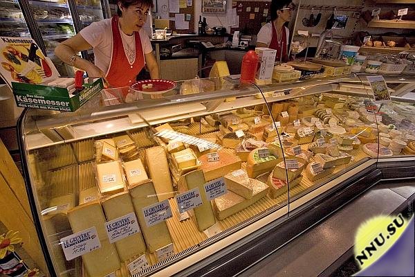 Как делают швейцарский сыр? (23 фото + текст)