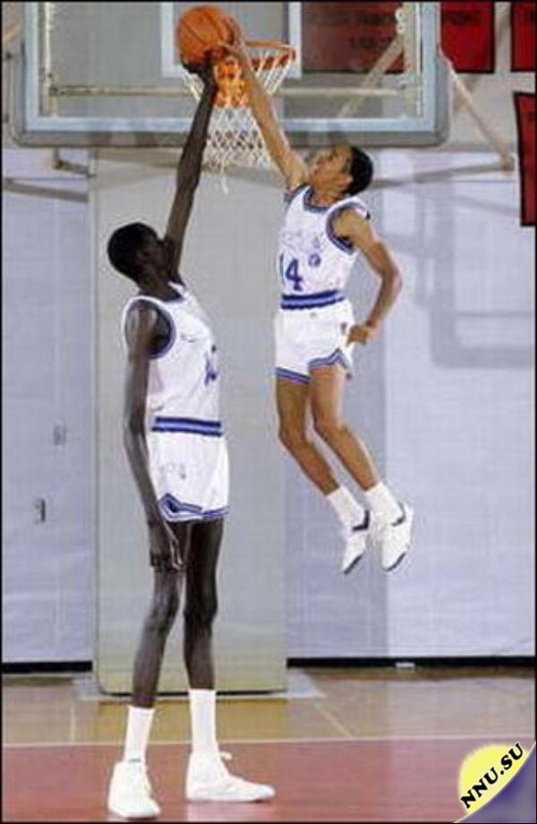 Самый высокий баскетболист в мире