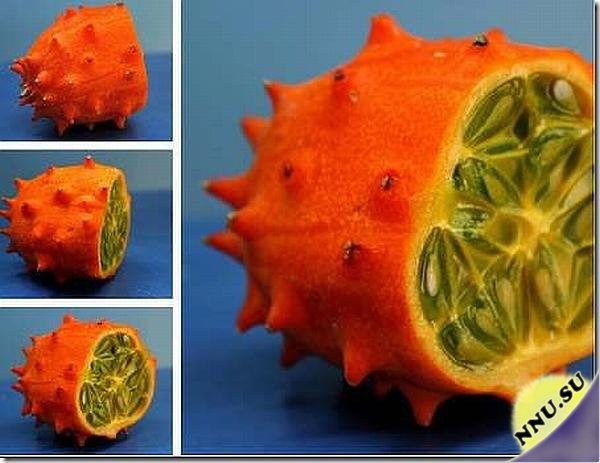 Необычные фрукты